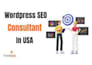be a wordpress SEO expert USA for higher google rankings